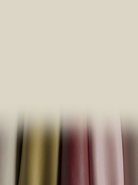 Custom-Made Comfort, Tailored for You