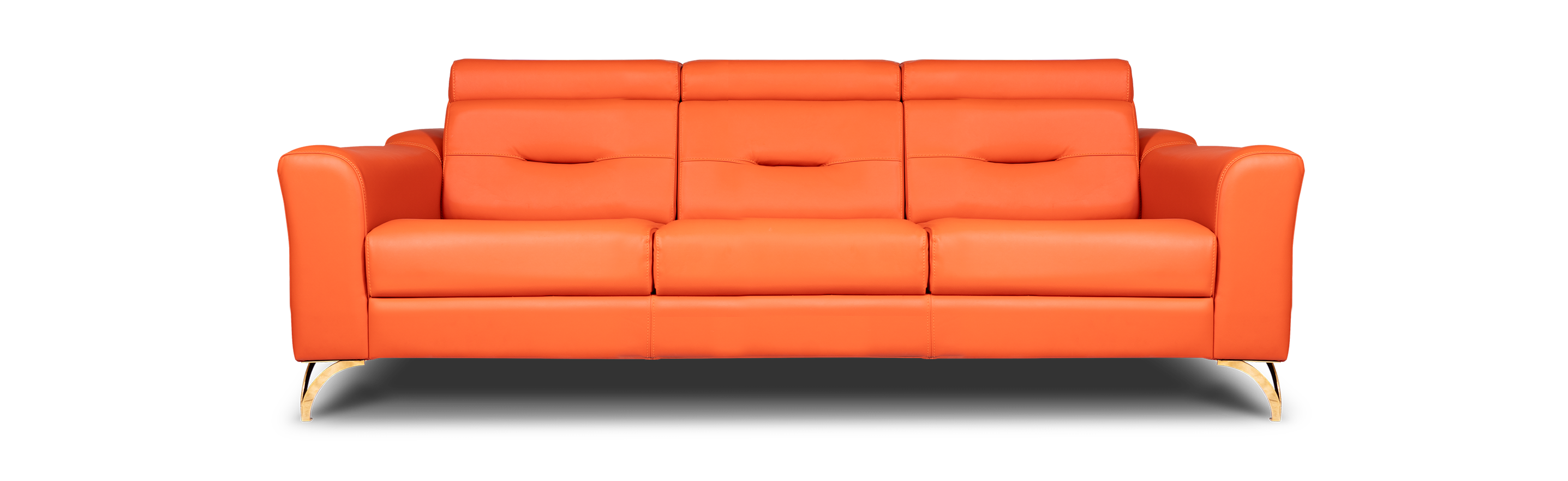 Leather Sofas