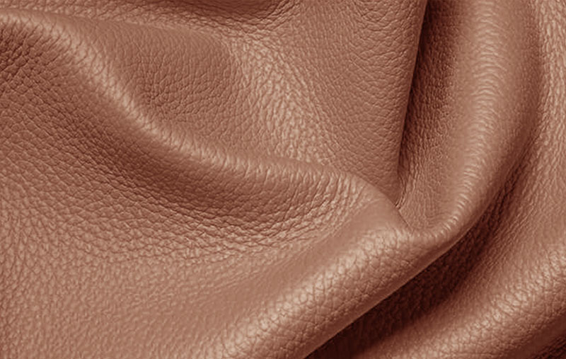 SAFARI_3006