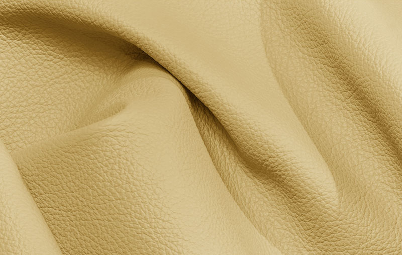 SAND_1004