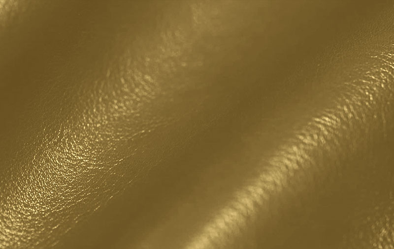 OLIVE_6004