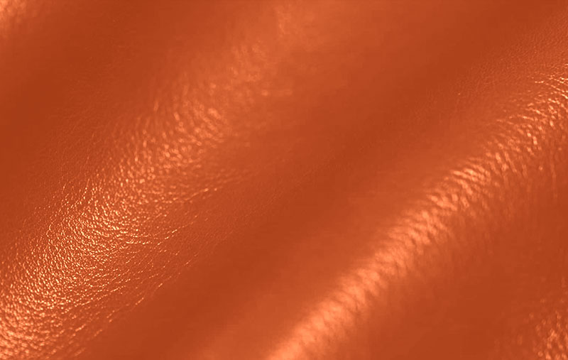 SIENNA_6003