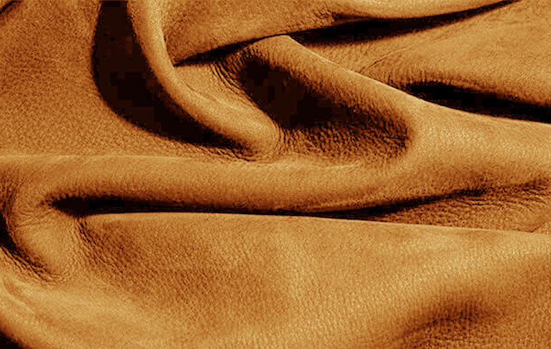 CAMEL_8007