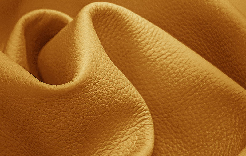 MANGOVALLEY_2009