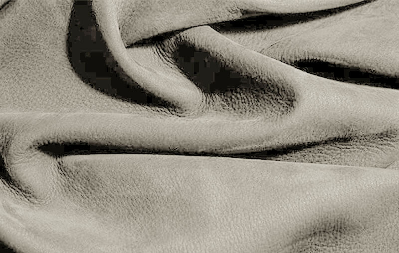 IVORY_8001