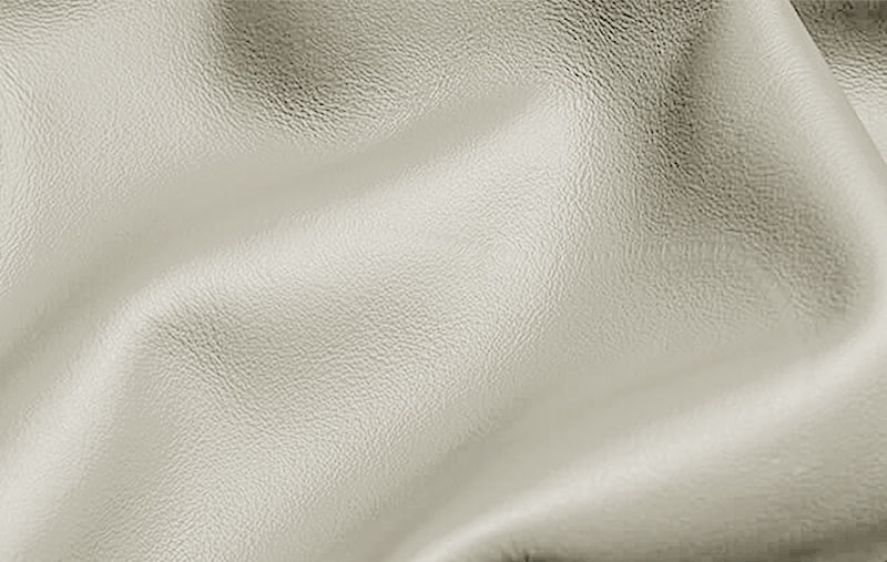 LAMB_5004
